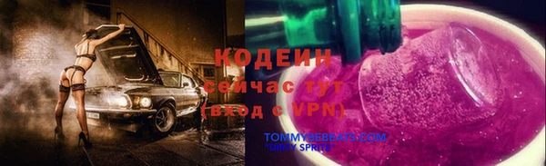 твердый Осташков